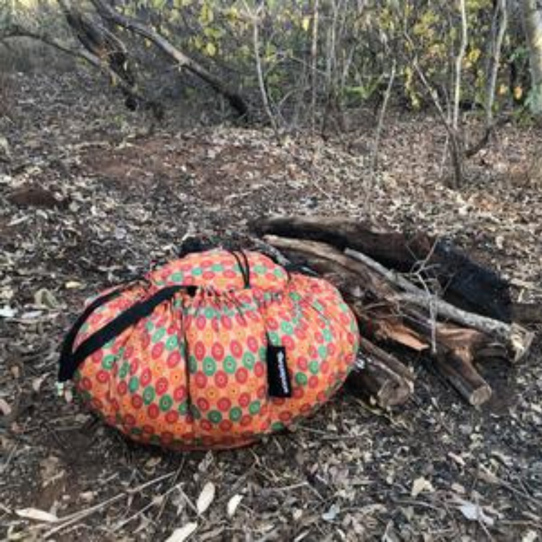 Easy Camping Meal: Spicy Fish Curry